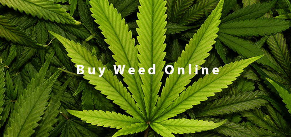 Online Dispensaries and Mail Order Marijuana